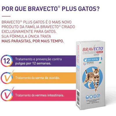 Bravecto Plus Antipulgas e Carrapatos Gatos 1 Unidade