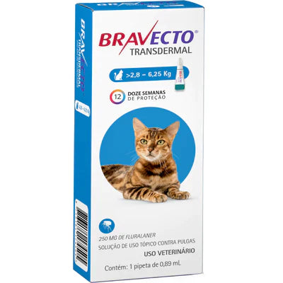 Bravecto Transdermal para Gatos 1 Unidade