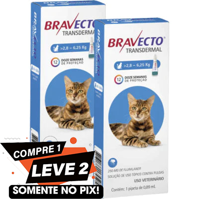 Antipulgas MSD Bravecto Transdermal para Gatos de 2,8 a 6,25 Kg