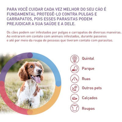 Bravecto para Cães de 10 a 20 Kg  - 500 mg - 2 Unidades