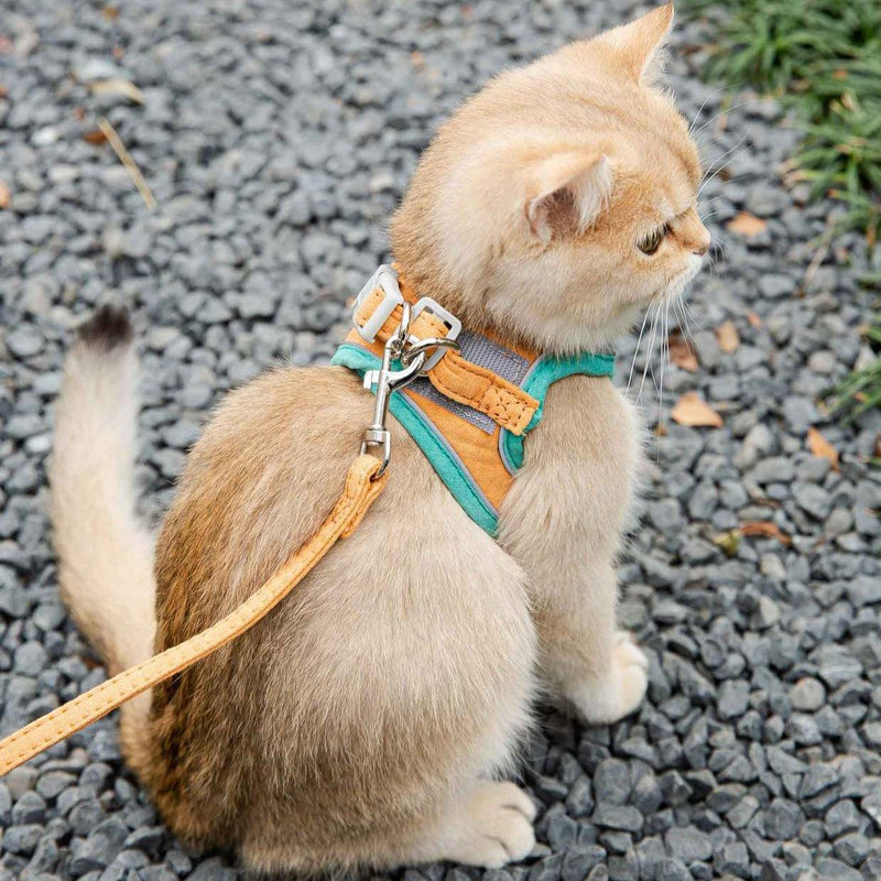 Coleira anti-fuga para gatos  - Smart Cat