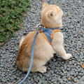 Coleira anti-fuga para gatos  - Smart Cat