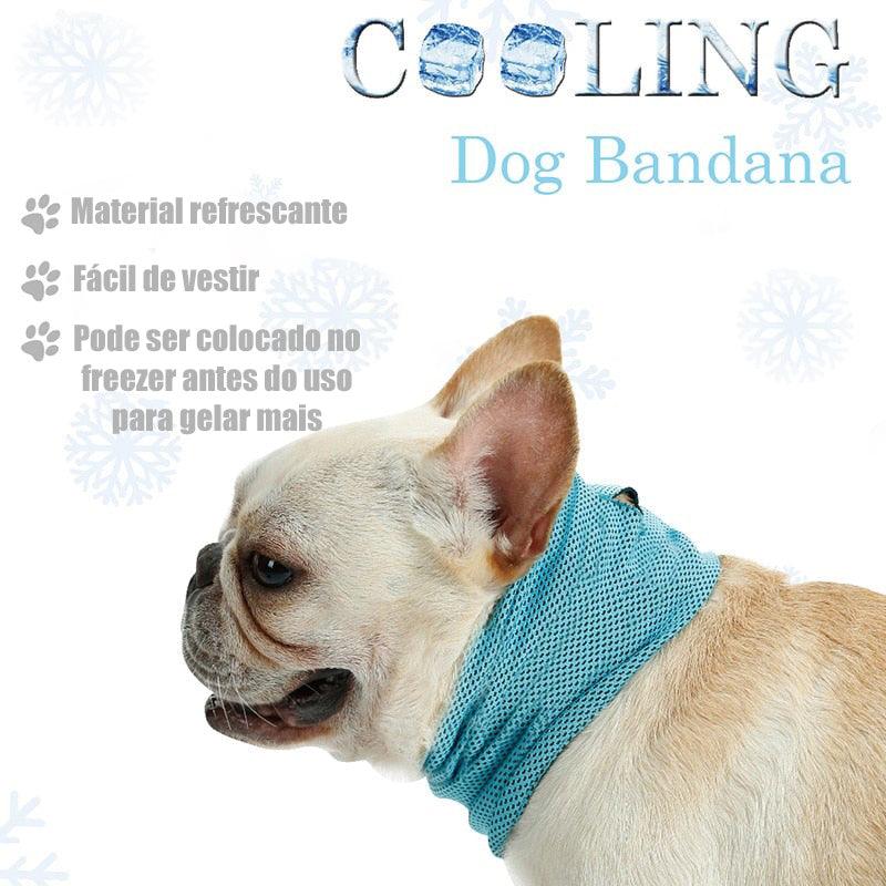 Bandana Refrescante para Cachorros - Cooling Dog