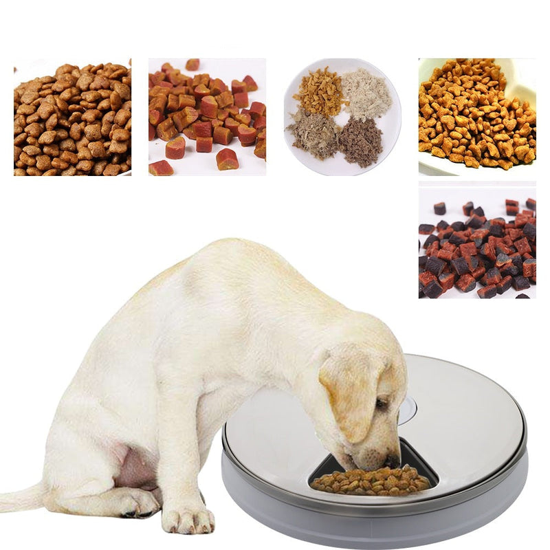Alimentador Automático para Cachorros e Gatos - Pet Feeder