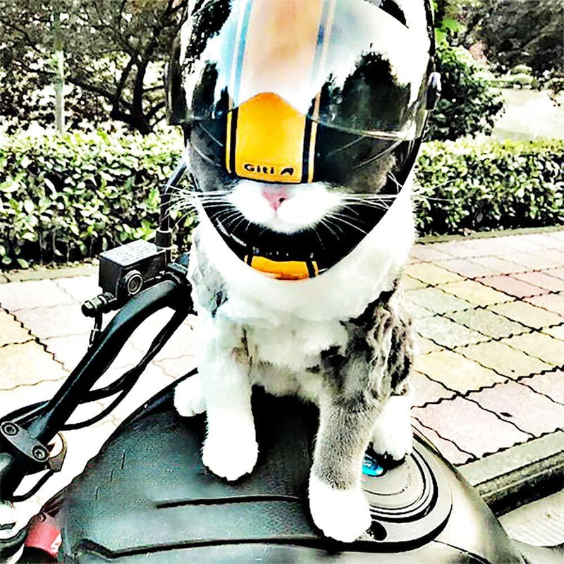 Capacete para gatos - Cat Helmet