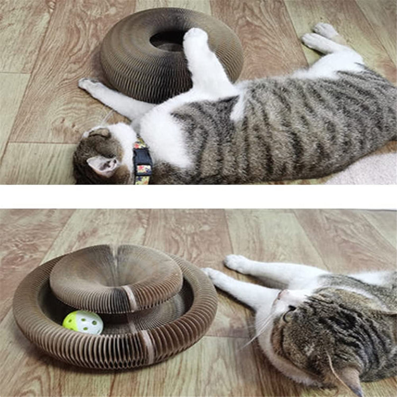 Brinquedo arranhador para Gatos - Magic Cat Scratch