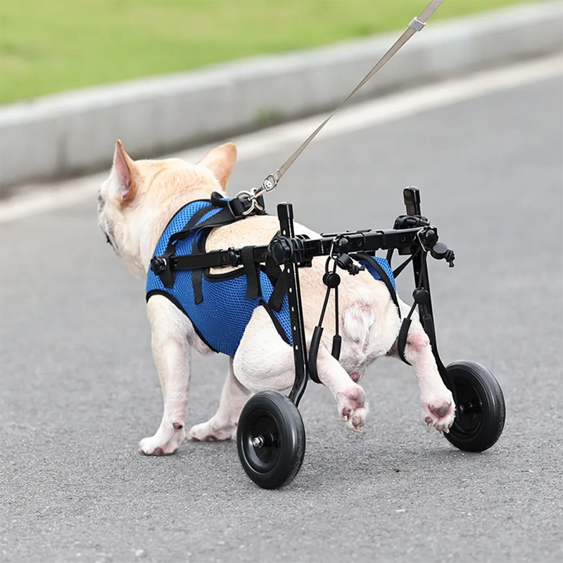 Cadeira de Rodas para Cachorros com Deficiência