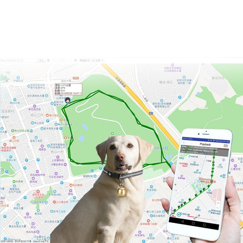 Coleira Rastreador GPS Maps para Cães e Gatos