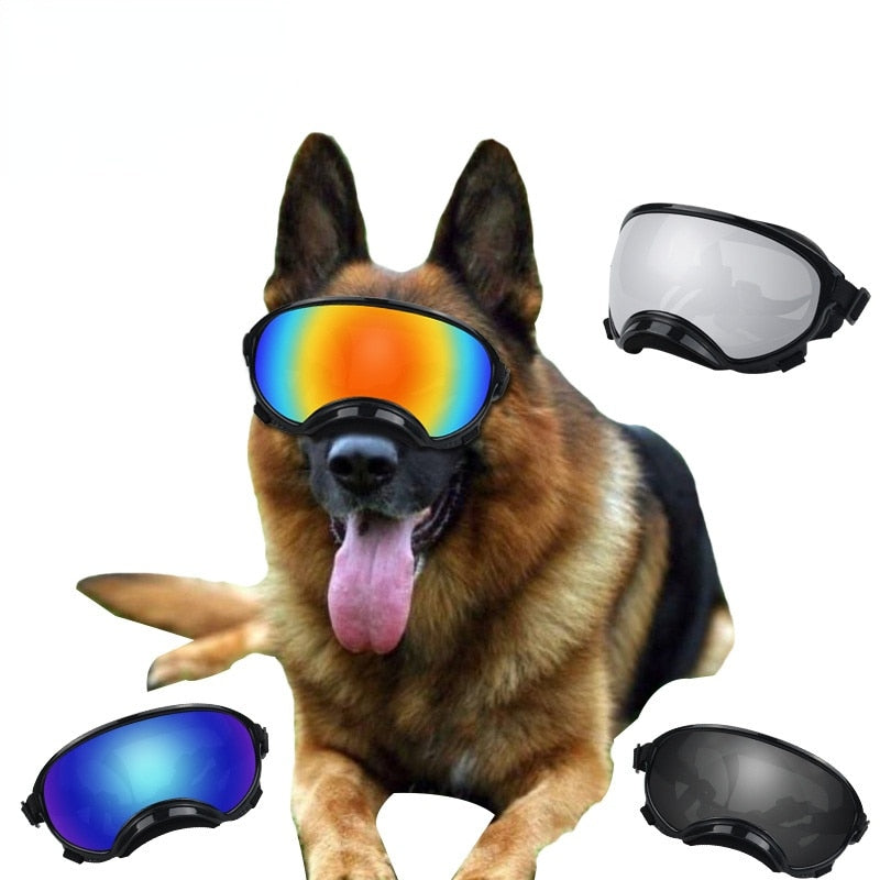 Óculos para Cachorros - Pet Óculos