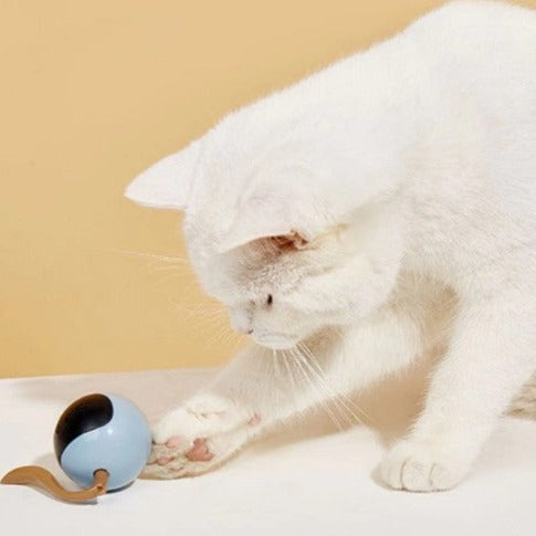 Bolinha Inteligente para Gatos - Cat Ball LED