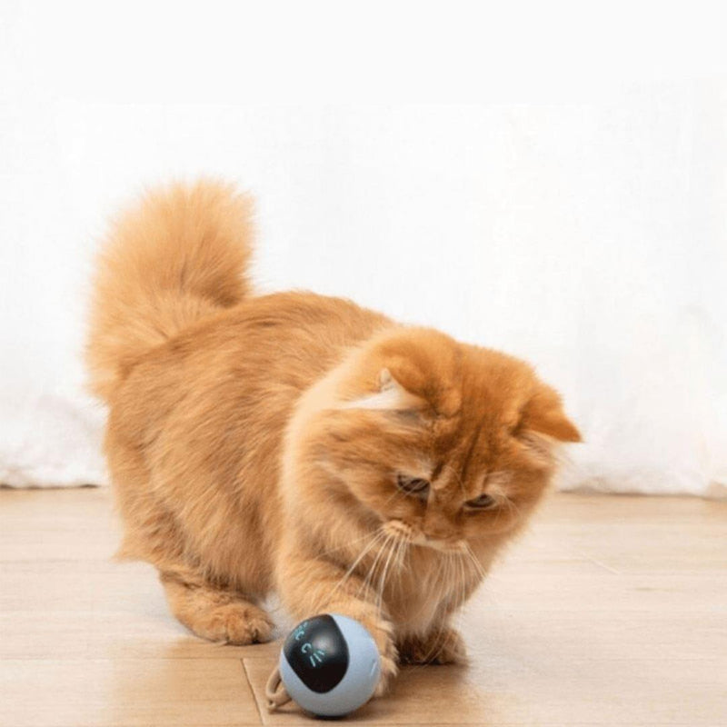 Brinquedo Inteligente para Cães e Gatos - Bolinha Smart