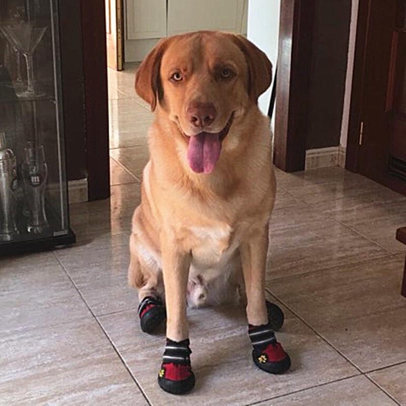 Sapato para Cachorro - Pet Boots